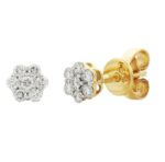 9ct Gold CZ Flower Stud Earrings_0