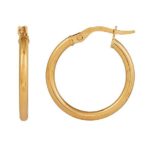 Gold Hoops_0