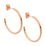 Stainless Steel RGP Hoops_0