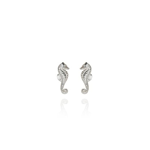 Mini Seahorse Studs_0