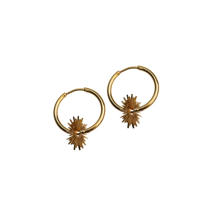 Gold Plated Hoop Earrings_0